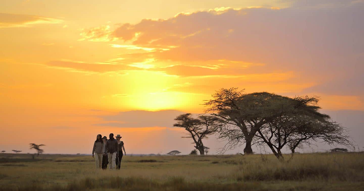Saadani safari