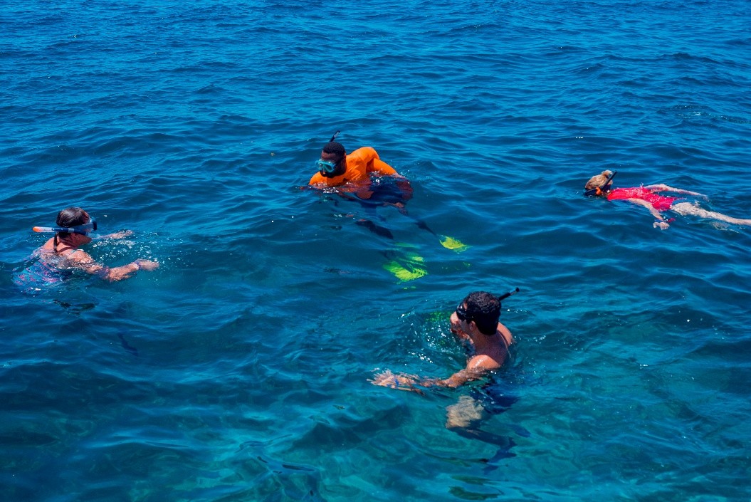 Tropical fish in the clear waters of Mnemba Atoll