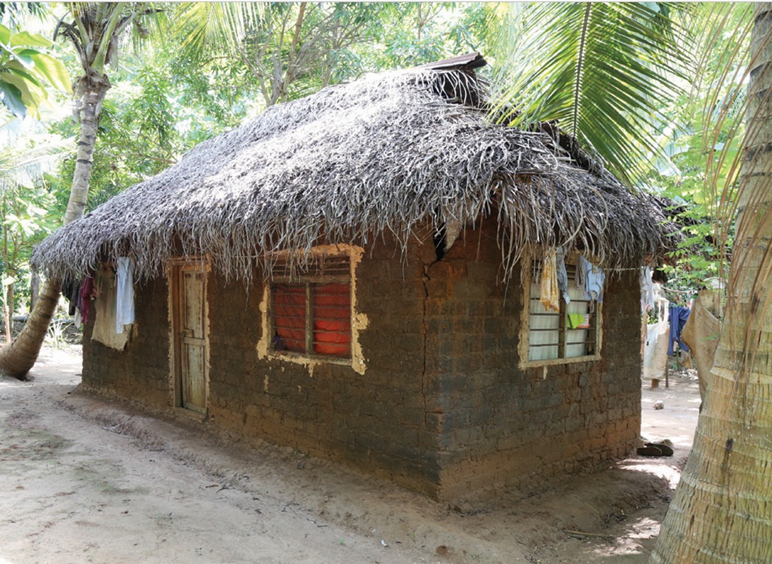 A small traditional hut with a thatched roof in a tropical setting