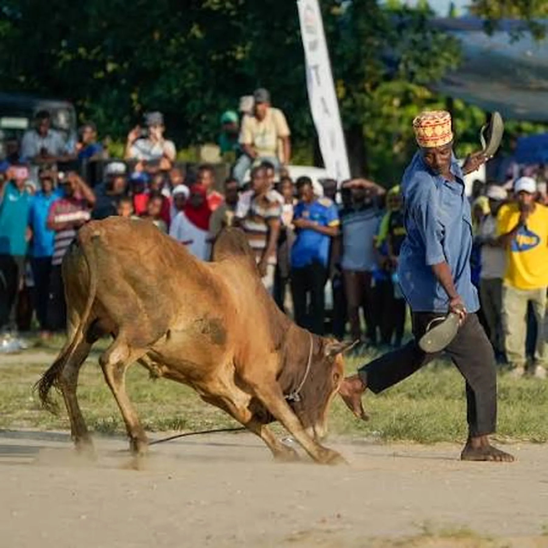 Pemba bull fighting game