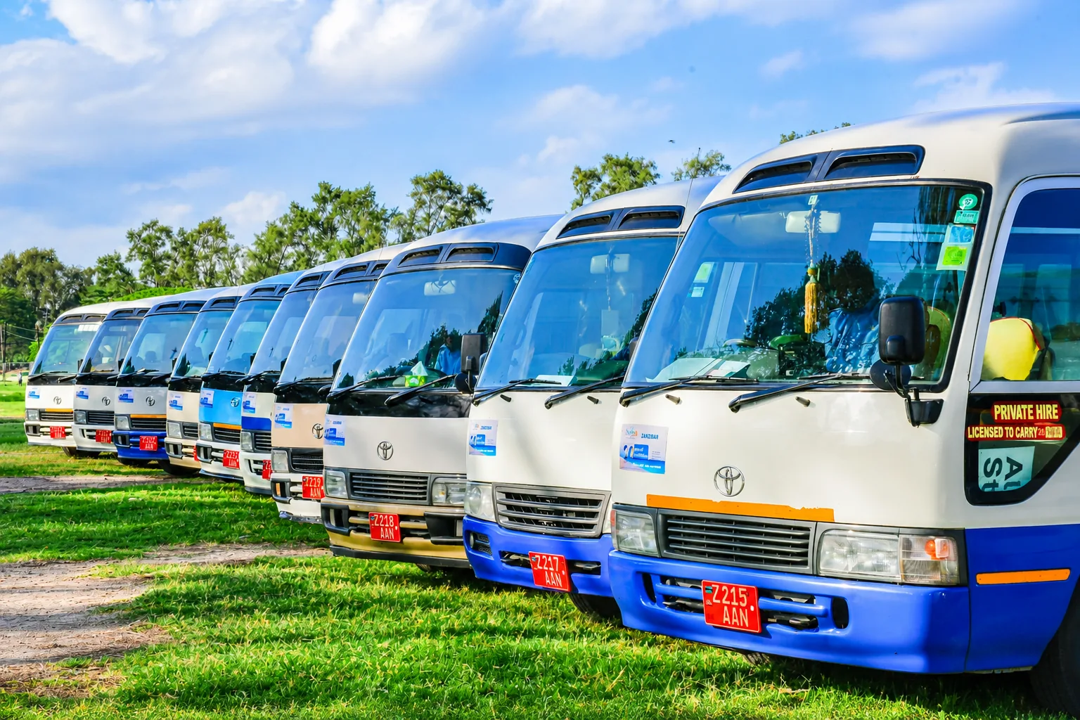 Safina Tours fleet of Toyota Coaster buses lined up ready for transfers
