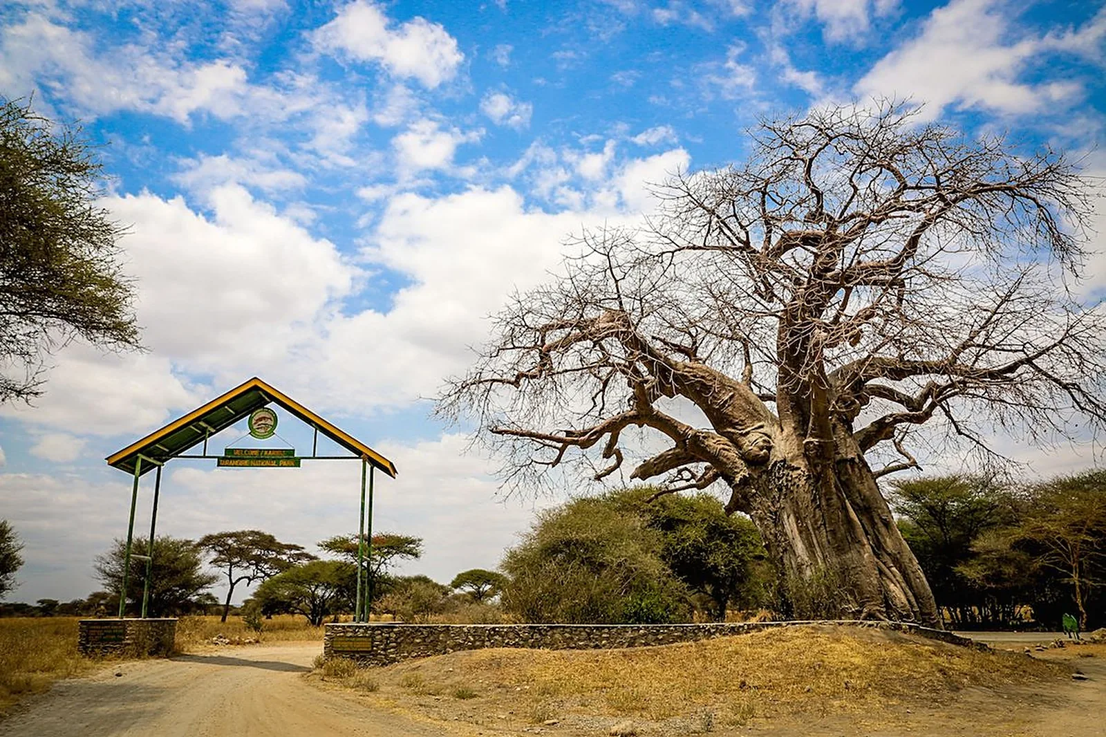 Ngorongoro Conservation Area scenery