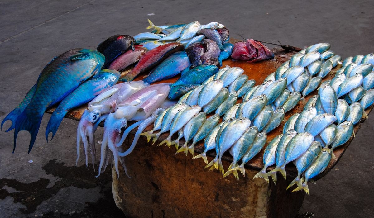 A fish market display in Zanzibar