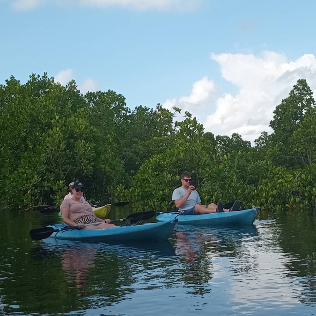 People kayaking in a mangrove forest in Zanzibar