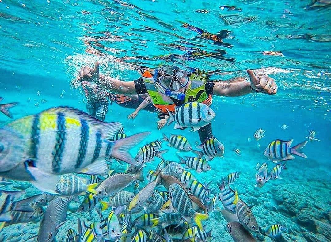 People snorkelling in clear ocean water with tropical fish at Mnemba Atoll