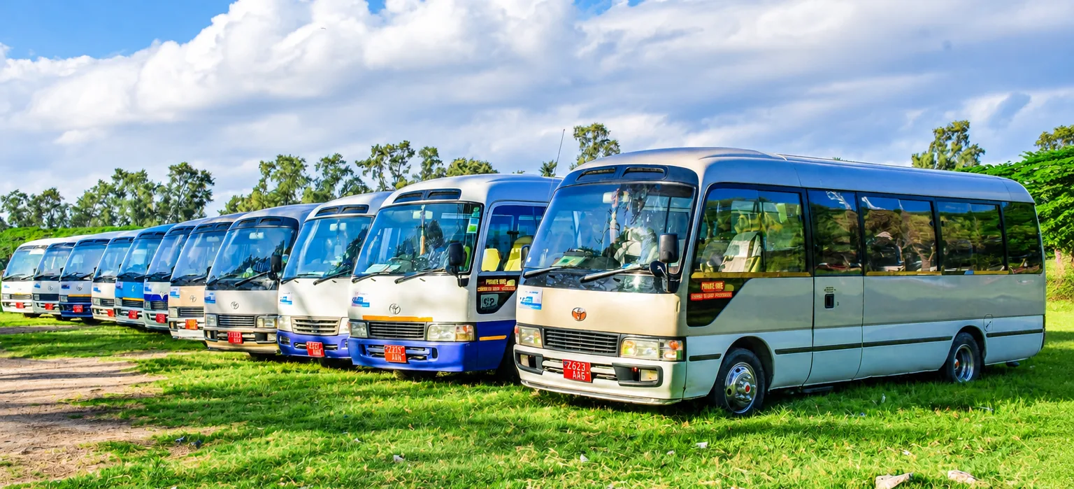 Safina Tours Toyota Coaster buses lined up on the lawn ready for private hire