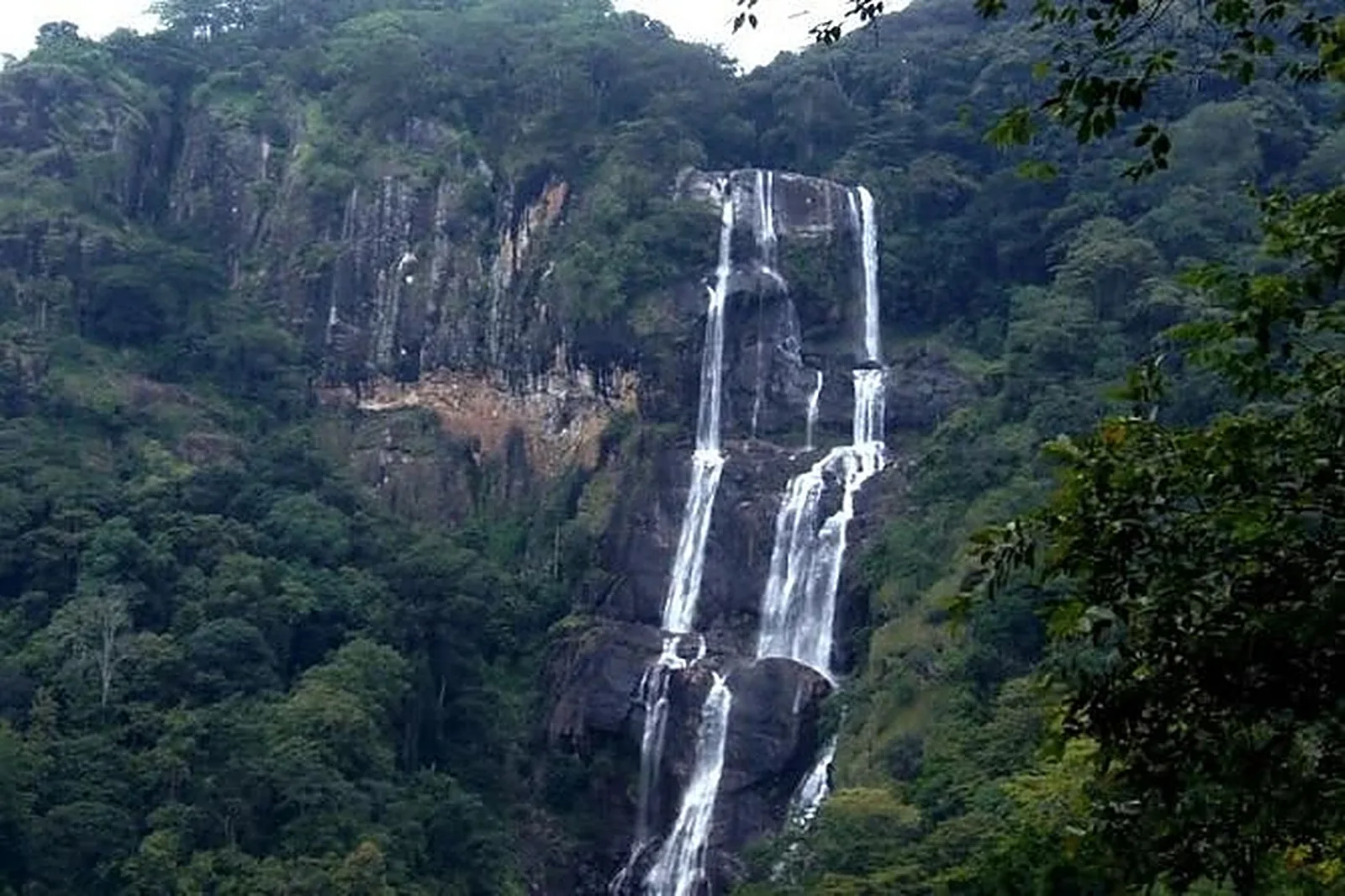 Mikumi National Park wildlife