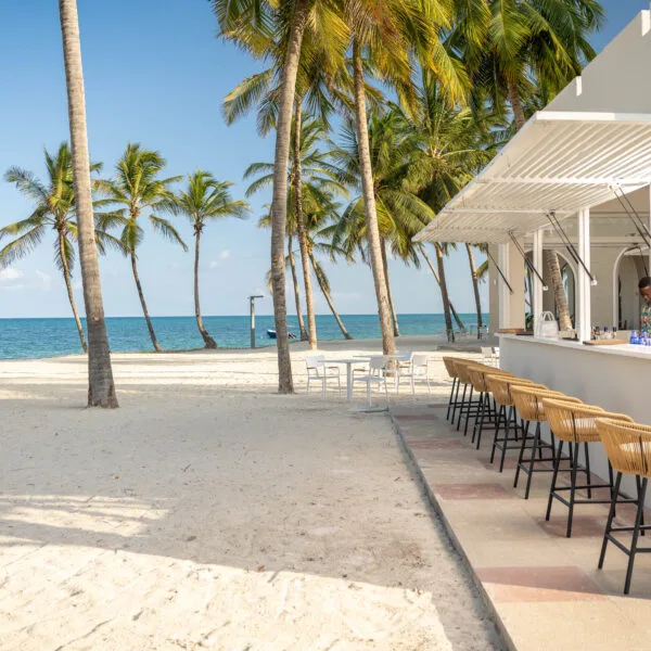 Be Zanzibar beach with palm trees and bar