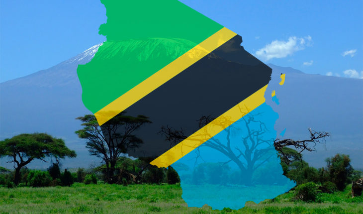 Tanzania landscape with wildlife and open plains