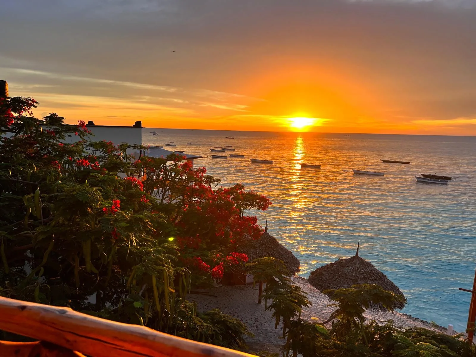 Sunset over the ocean with boats and tropical foliage