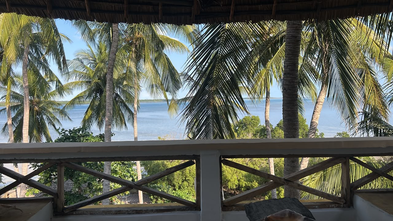 Ocean and palm view from a terrace at Mafia beach bungalow