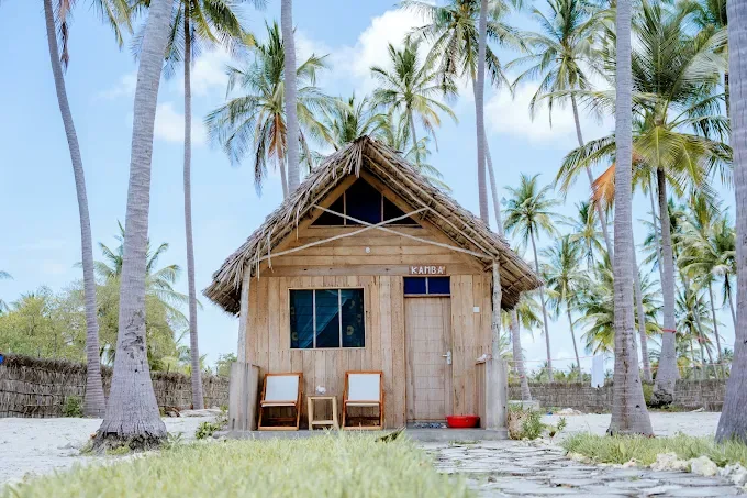 A thatched-roof wooden hut surrounded by tall palm trees on a beach