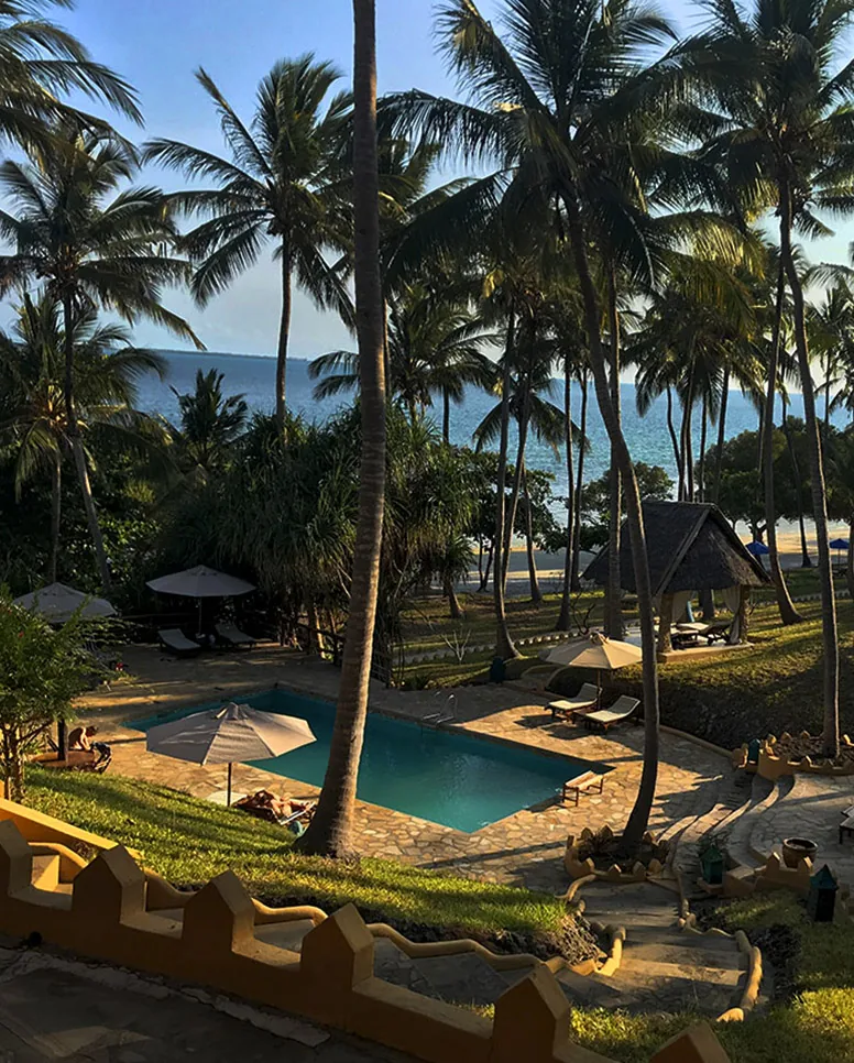 Poolside view with palm trees and ocean